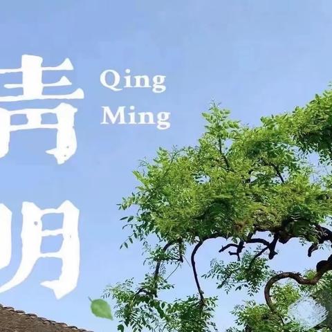 四月清明，万物相思—棒棒堂大五班清明节主题活动