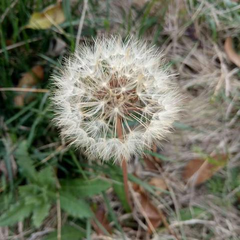 时光匆匆，一回首，又是一年岁末时