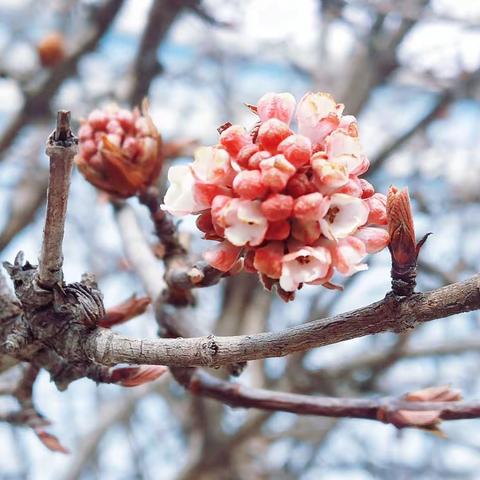 沐浴春光，扬帆远航——和政县马牧沟学校开学典礼暨表彰大会活动