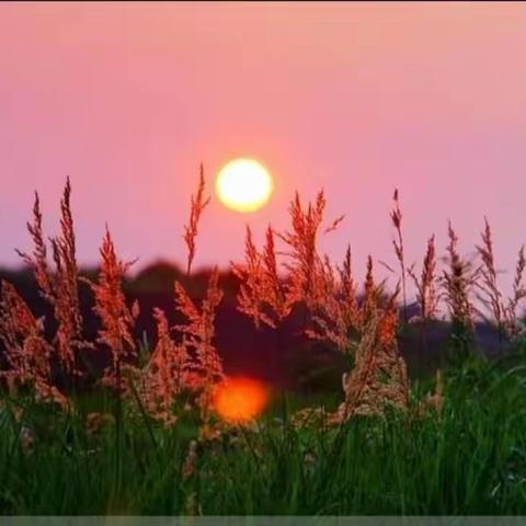 优化责任迎难而上 高效管理提质扩容——上林县镇圩瑶族乡中心学校2021年秋季学期工作总结大会