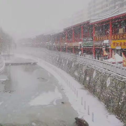 观雪南屏