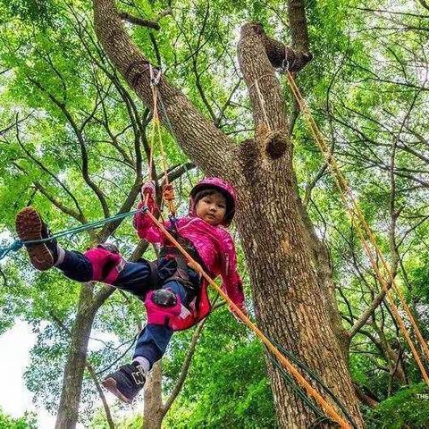 疯狂科学之“行走的实验室”—机械大师~走进森林公园