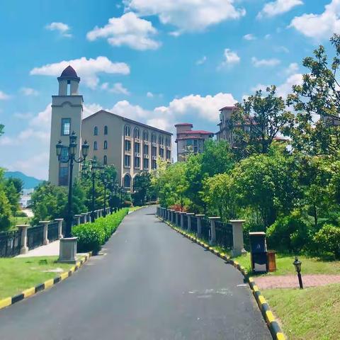 黄山莲花国际服务中心2023年5月服务工作报告