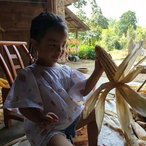 我是劳动小能手-秦伊依