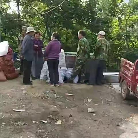 清秀富美新曹范