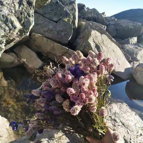 鸣蜩甘七的美篇