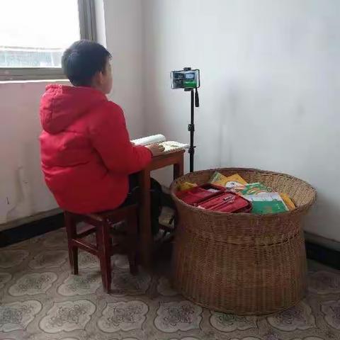 在家学习我自觉