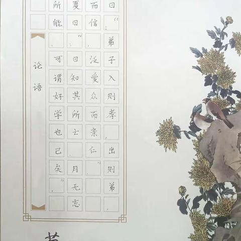 晒一晒我的作品