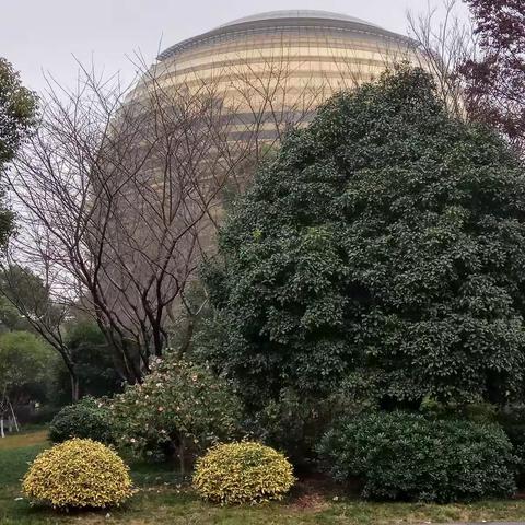 杭州湖州南浔旅游参考