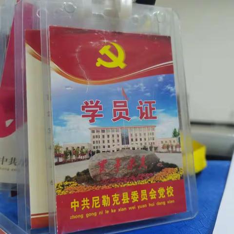 党员教师培训