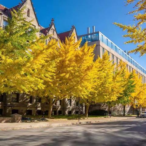 芝加哥大学秋色