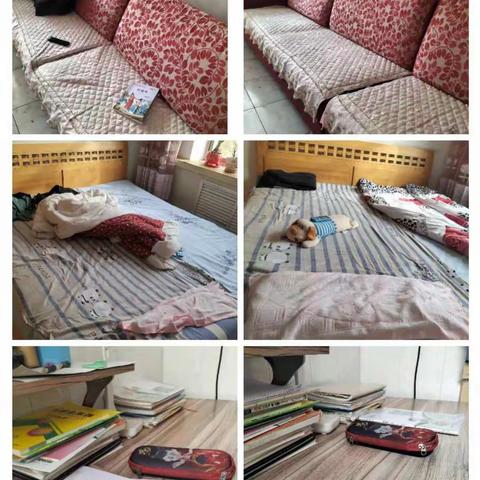 劳动教育 助力战“疫”——金昌市第一小学五年级（1）班情期间劳动教育停课不停学，劳动不停歇。