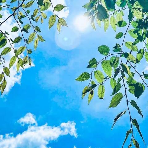 2020年下学期C1910班第一、二周校速递✨