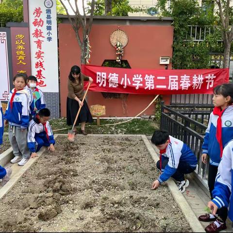 明德小学第二届春耕生产开始了