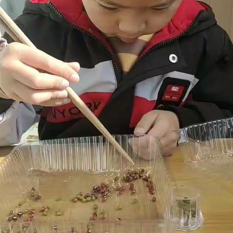 快乐的暑假生活