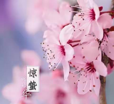 【未央区 未央湖】春风已至红花盛开，未央湖岸路长常在——未央湖街办郭书记带队进行路长制活动