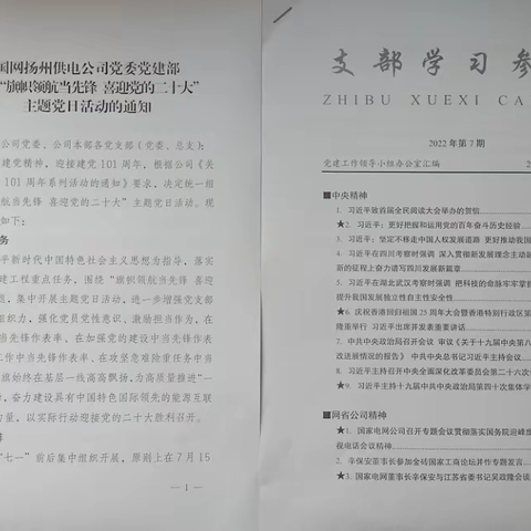 送桥业务所党支部开展7月“旗帜领航当先锋，喜迎党的二十大”主题党日活动