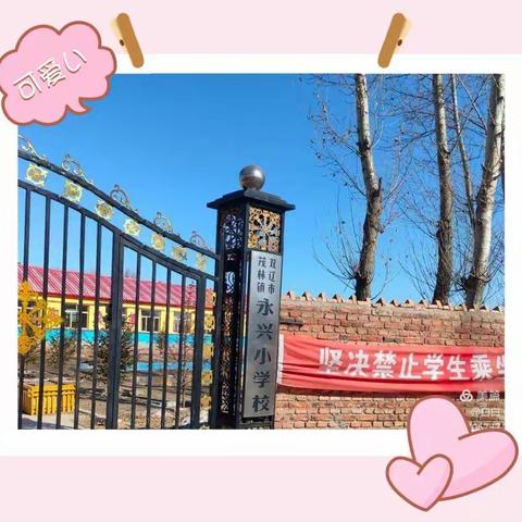 茂林镇  🎀永兴小学🎀