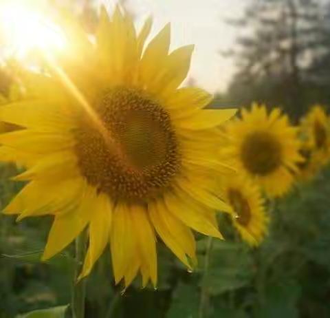 滴水学堂“畅想户外，童享未来”春季大型户外活动开始报名啦！