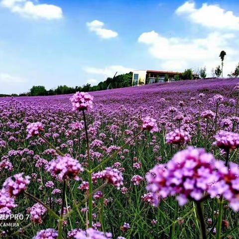 滴水学堂“畅想户外 童享未来”第二季开始啦!