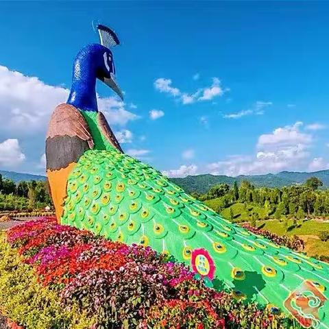 滇西行十九 芒市孔雀湖游记