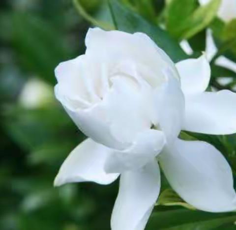 那年那月那初恋