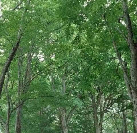 回忆父亲的点点滴滴