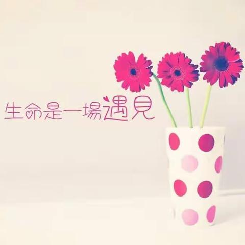 感谢和美篇的重逢！