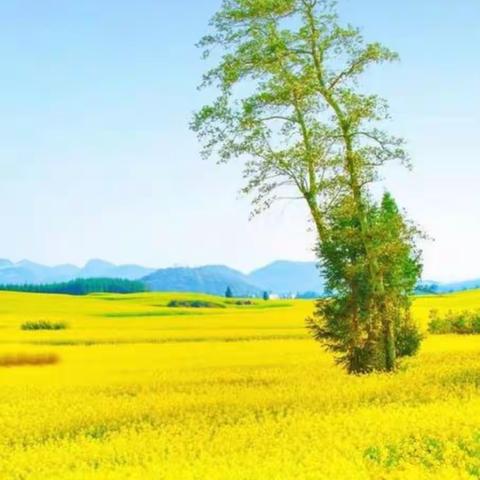 永城市中心医院🏥永城市儿童医院西城区儿科第七期360健康教育开课啦！