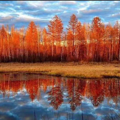 永城市中心医院🏥永城市儿童医院西城区儿科第十七期360健康教育开课啦！