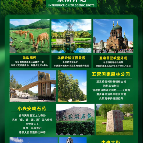 向伊春出发，伊起呼吸 小包私家团
