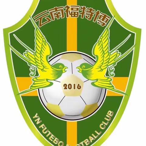 2024年足球、篮球冬令营招生啦！