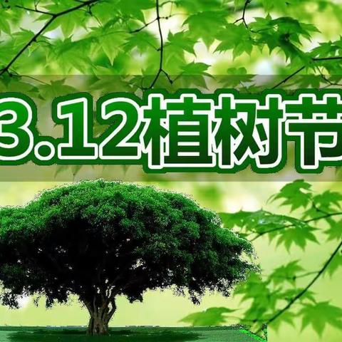 天水市锦绣苑幼儿园大一班“多一片绿叶，多一份温馨🌱”植树节主题活动