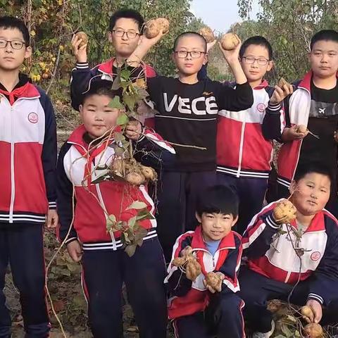 一份耕耘 一份收获——青州市尧王学校