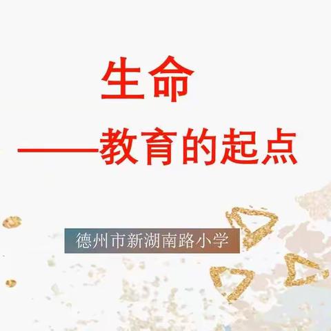 生命——教育的起点