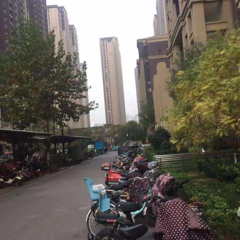 行走在社区里的城管—小角色大担当