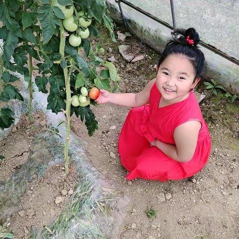 愉快的暑假.武林国际小学105班袁梦锜