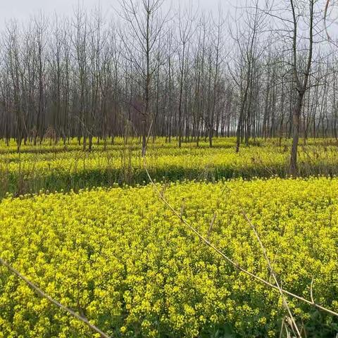 2024年中考生物实验操作考前学习视频