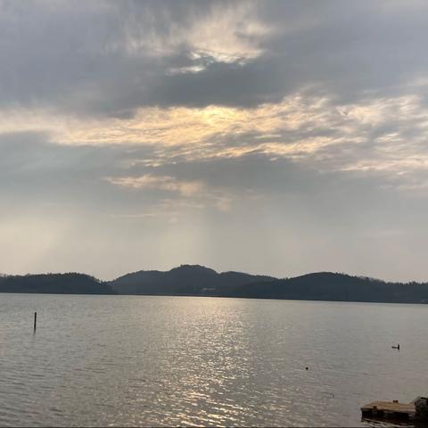 知而不言，言多必失