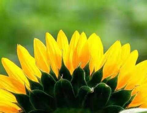 有一种幸福叫感恩