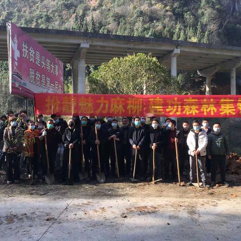 麻柳镇：最是一年春光好  植树添绿正当时