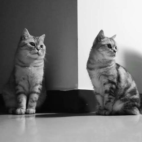 我的宝贝们💞️