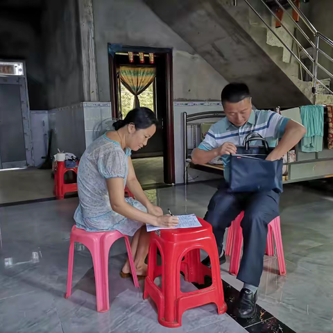 五指山市乡村振兴局成立督查组到番阳镇入户开展核查工作