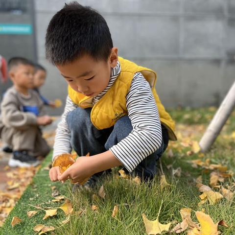 盟旺路幼儿园中五班——周记进行时