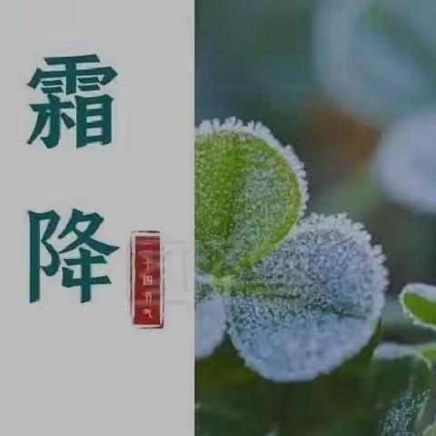 启迪教育集团🎀二园朵朵一班《霜降》