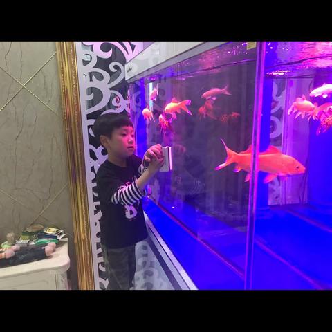 我是爱劳动的小娃娃