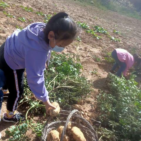 铸牢中华民族共同体意识之喜迎中秋，欢度国庆