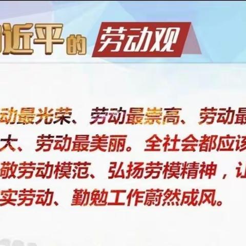 【高新教育】感恩于心，实践于行