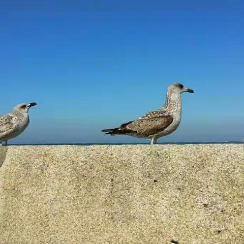 葡萄牙游 - 波尔图 (三)