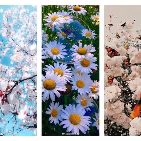 【二年级数学组】葵园师话——过程性自评测试活动（六）